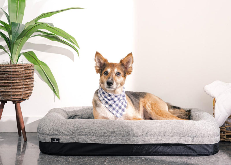 Performance Dog Bed -Small image